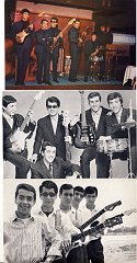 LES DAUPHINS 1966